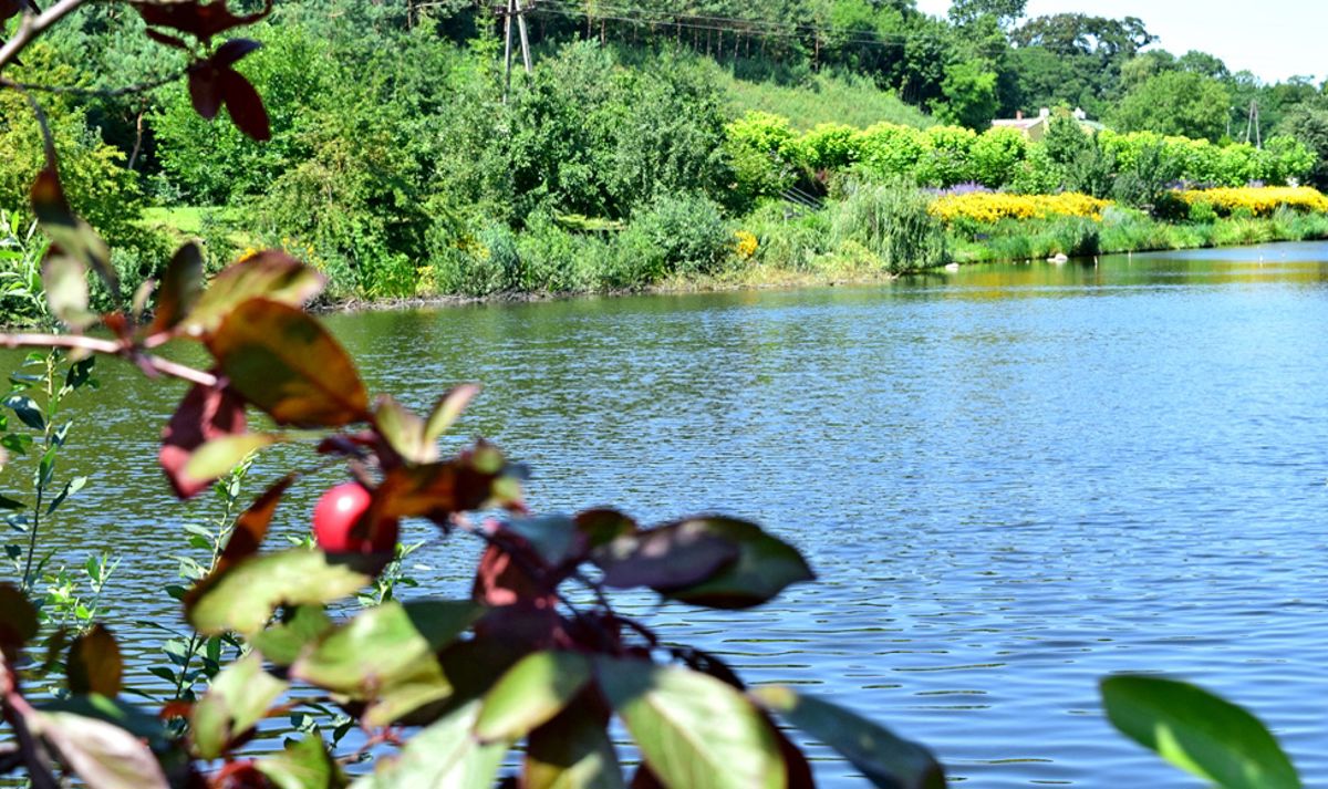 ogród / park